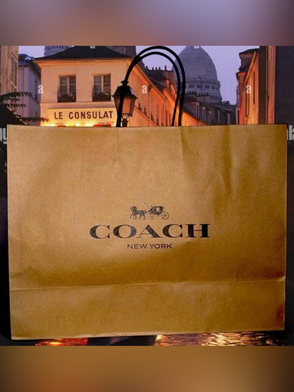 Large Coach Shopping Bag with Tissue Paper Like New - Picture 1 of 5
